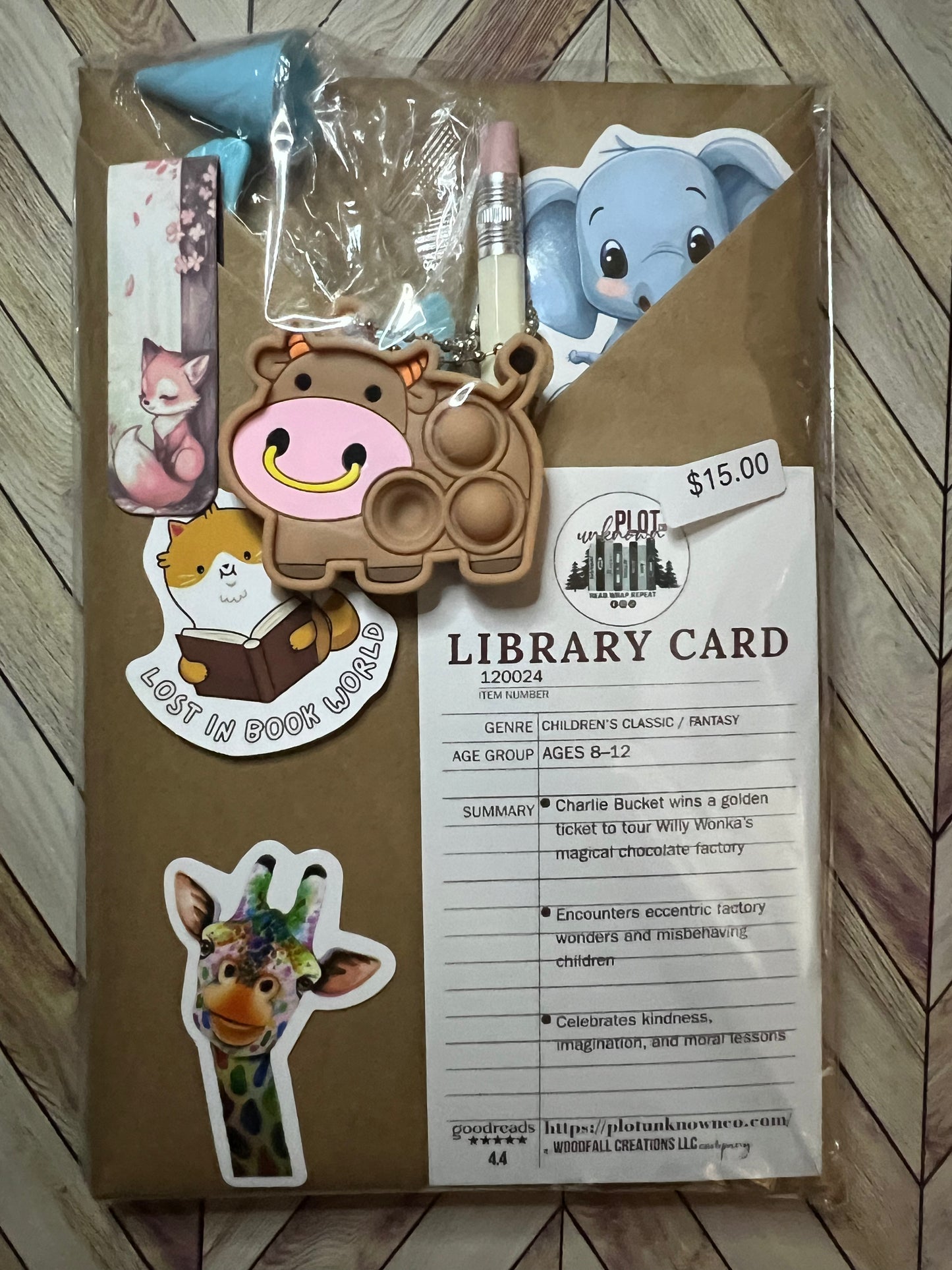 Blind Date With a Book - Children's Fantasy